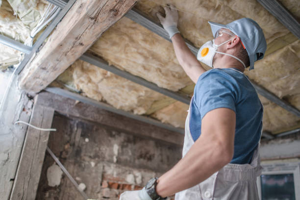 Best Insulation Maintenance and Repair in Wilmington Island, GA