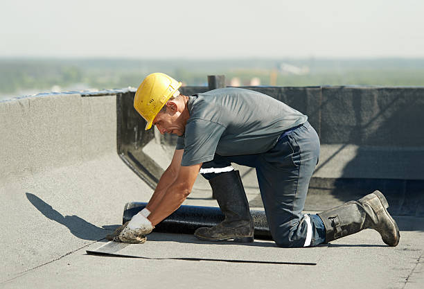 Best Geographic-Specific Insulation Services in Wilmington Island, GA