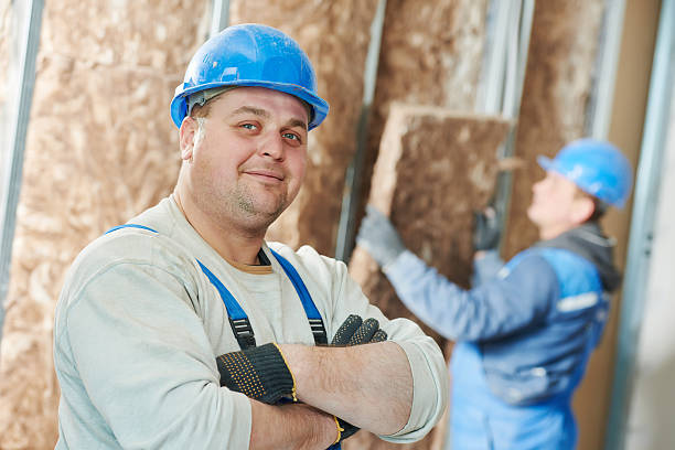 Best Cellulose Insulation in Wilmington Island, GA